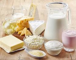 Chennai, Businesses For Sale, Dairy Products
