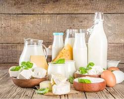 Chennai, Businesses For Sale, Dairy Products