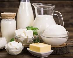 Chennai, Businesses For Sale, Dairy Products