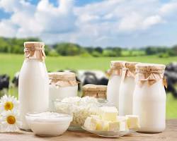 Chennai, Businesses For Sale, Dairy Products