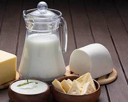 Chennai, Businesses For Sale, Dairy Products