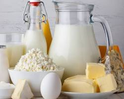 Chennai, Businesses For Sale, Dairy Products