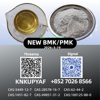 The Hague, Electrical & Plumbing, EUR 90,  28578-16-7 Manufacturer Price P.MK B.MK Powder/Oil CAS 5449-12-7