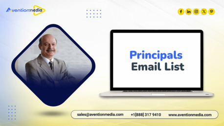 New York, Business, Invest In  A Specialized Principals Email List Marketing Data