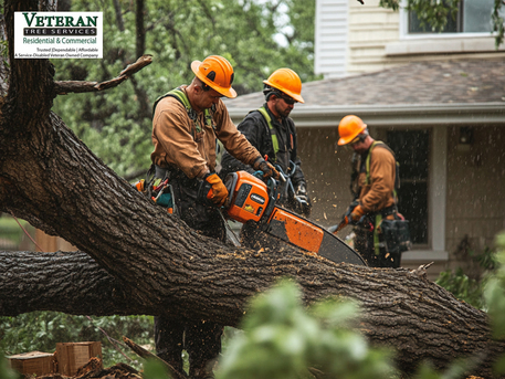 New York, Farm/Garden, Long-Term Care That Keeps Properties Stable &mdash; Tree Service In Maryland
