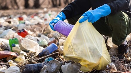 Sydney, Business, Waste Management Consultant | Elephants Foot