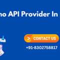 Best Casino API Provider In India
