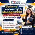 Ace Your Diploma Of Leadership And Management Assignments Without Stress