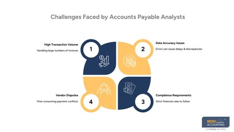 New York, Accounting, Understanding The Role Of An Accounts Payable Analyst In Modern Businesses