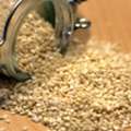 Premium Sesame Seed Exporter For Bulk Supply