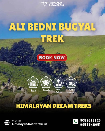 New Delhi, Travel, Ali Bedni Bugyal Trek By Himalayan Dream Treks