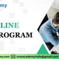 VIT Online MBA Program