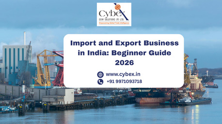 Lucknow, Business, Import And Export Business In India: Beginner Guide 2026