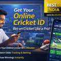 The Future Of Cricket Entertainment In The Digital Era