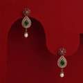 Premium Silver And Crystal Drop Earrings Collection | Padmam