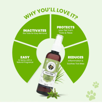 Gurugram, Pet Sitting, Natural Tick Free Spray For Dogs Safe Herbal Flea And Tick Protection