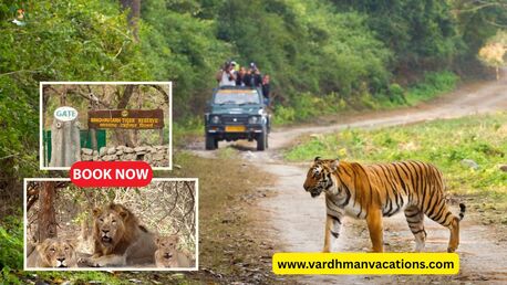 New Delhi, Travel, 10 Must-Visit Wildlife Sanctuaries In India
