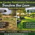 How Garden Maintenance Services Transform Your Lawn (Before & After Results)