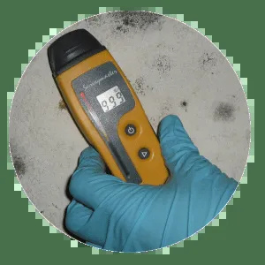 New York, Business, Stop The Spores With Professional Mold Remediation Services