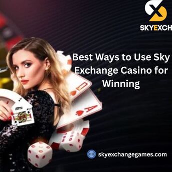 Jaipur, Business, Best Ways To Use Sky Exchange Casino For Winning
