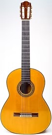 New York, Musical Instruments, 8000,  Buy Flamenco Guitars Online USA | Socal Frets