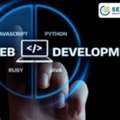 Need A Professional Website? Choose A Trusted Web Development Company In India
