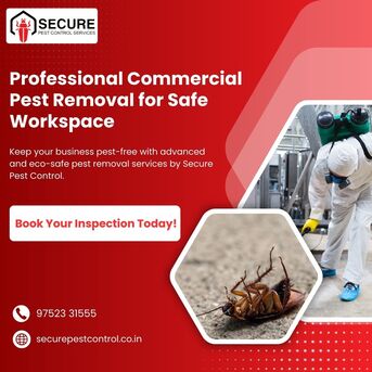 Indore, Pest Control, Affordable Commercial Pest Removal Services For Businesses | Secure Pest Control
