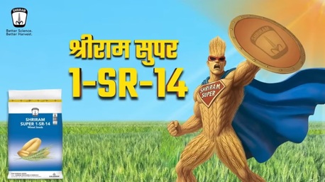 Mumbai, Farm/Garden, Best Wheat Seeds For Farmers To Boost Yield And Grain Quality