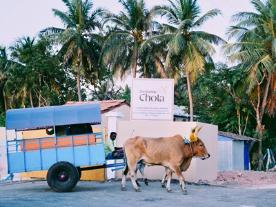 Chennai, Travel, Deshadan Chola Resort In Thanjavur | Homestay In Tanjore