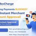 Instant Gaming Merchant Account &ndash; No More Chargeback Stress