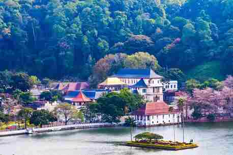 London, Travel, Discover Sri Lanka Holidays Package: Beaches, Wildlife And Cultural Journeys