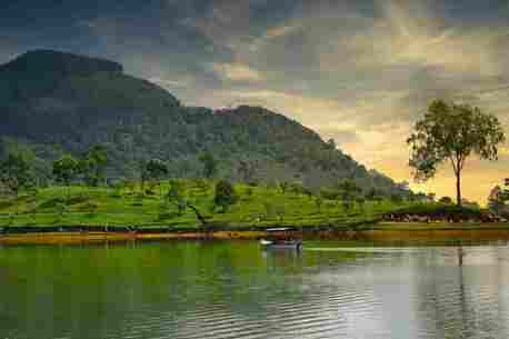 London, Travel, Discover Sri Lanka Holidays Package: Beaches, Wildlife And Cultural Journeys