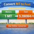 Convert MT To Feet Online &ndash; Free Tool