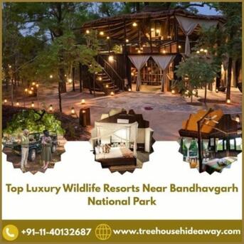 Bhopal, Business, Top Luxury Wildlife Resorts Near Bandhavgarh National Park