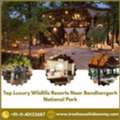 Top Luxury Wildlife Resorts Near Bandhavgarh National Park