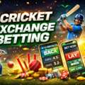 Online Cricket Betting ID &ndash; Secure & Fast Signup