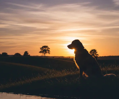 New York, Legal, Willow Grove Personal Injury Lawyer