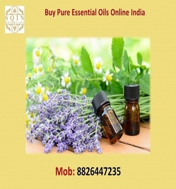 Noida, Health & Beauty Items, INR 550,  On The Navratri, Ag Organica Products Have Been Reduced