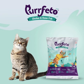 Mumbai, Pet Supplies, Buy Purrfeto Chicken & Ocean Fish Adult Dry Cat Food 100g &ndash; Healthy Nutrition For Cats