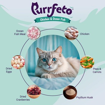 Mumbai, Pet Supplies, Buy Purrfeto Chicken & Ocean Fish Adult Dry Cat Food 100g &ndash; Healthy Nutrition For Cats