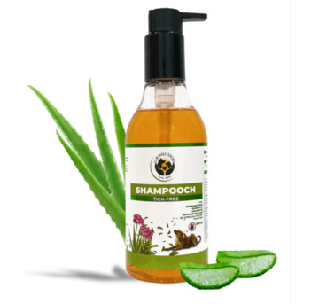 Gurugram, Pet Sitting, Say Goodbye To Ticks Naturally Give Your Dog The Care They Deserve