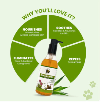 Gurugram, Pet Sitting, Say Goodbye To Ticks Naturally Give Your Dog The Care They Deserve