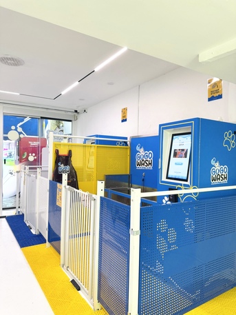 Singapore, Business, Find The Best Self Dog Wash Near Me For Hassle-Free Grooming