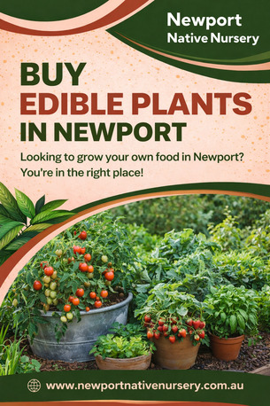 Sydney, Farm/Garden, Buy Edible Plants In Newport -Newport Native Nursery
