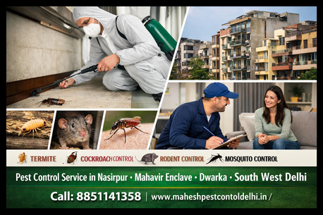 New Delhi, Pest Control, Top Pest Control Service In Nasirpur Delhi For Complete Protection