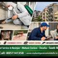 Top Pest Control Service In Nasirpur Delhi For Complete Protection
