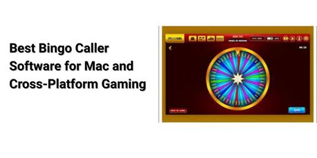 New York, Software Development, Best Bingo Caller Software For Mac And Cross-Platform Gaming