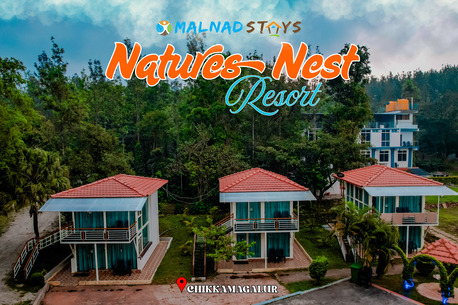 Mumbai, Travel, Top Luxury Resorts In Chikmagalur You Must Visit