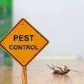 Searching For Pest Control Near Me? PPJ Soluion Offers Fast Solutions
