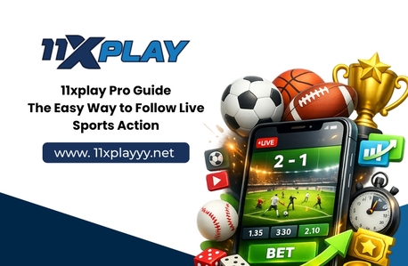Pune, Business, 11xplay Pro Guide: The Easy Way To Follow Live Sports Action